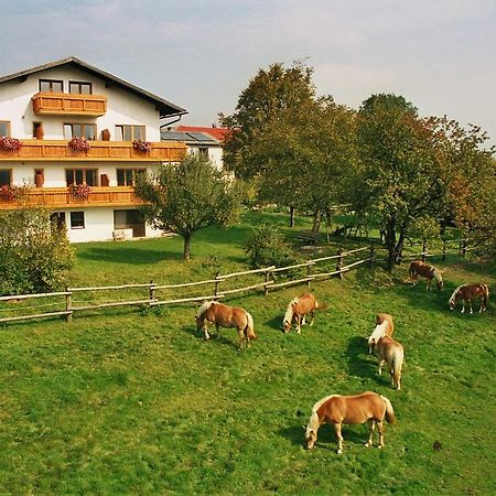 Appartement Biobauernhof Wolf-Hof à Pressbaum Extérieur photo