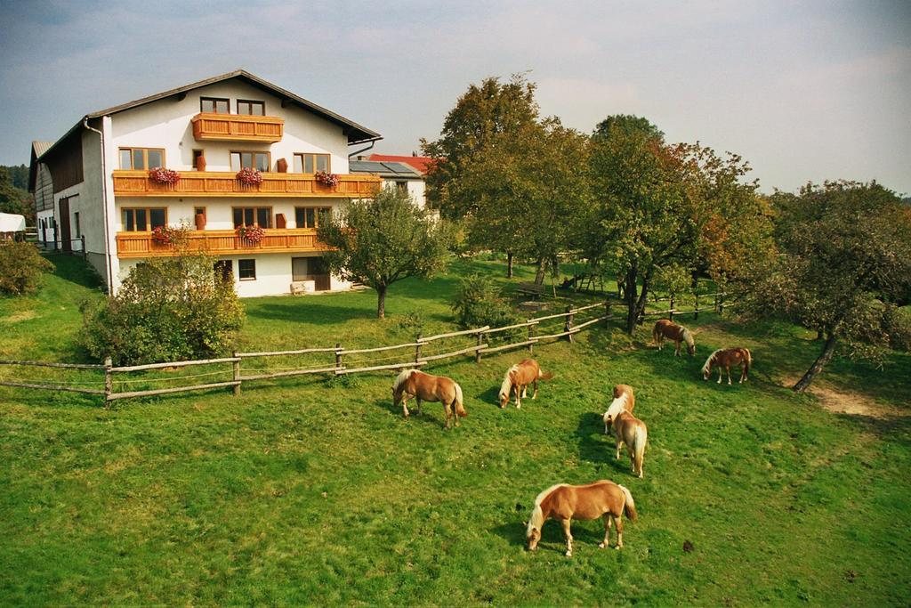 Appartement Biobauernhof Wolf-Hof à Pressbaum Extérieur photo